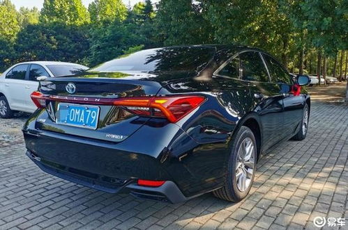 夺龙怎么组词语