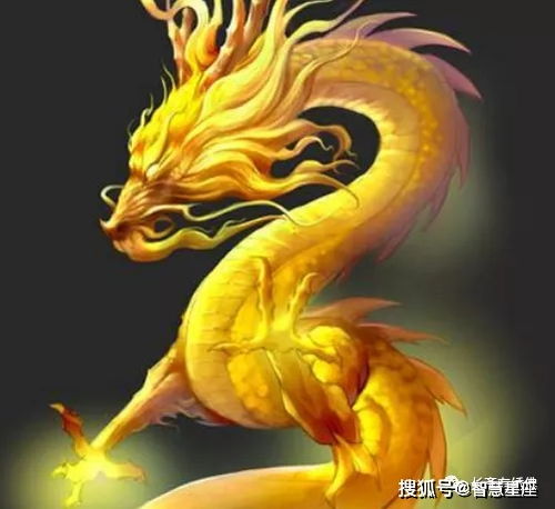 玲珑龙龙怎么组词 玲珑龙龙怎么组词