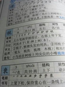颗字怎么组词