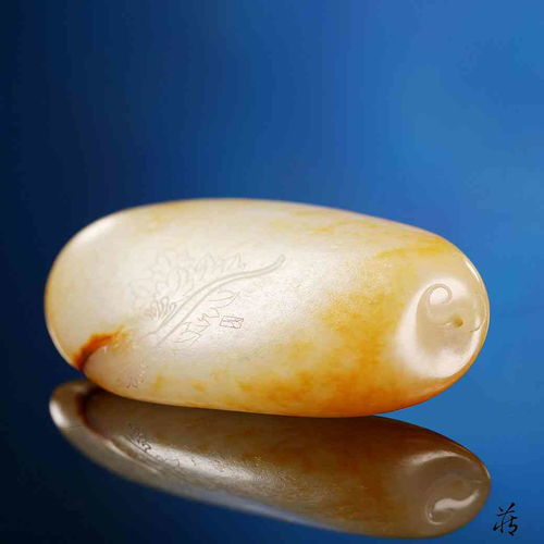 小白玉的玉怎么组词 小白玉的玉怎么组词