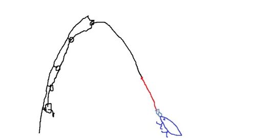 鱼怎么怎么怎么组词