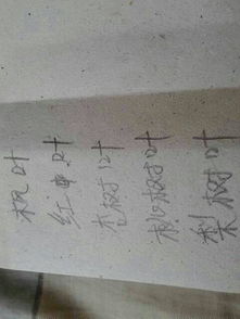 谐音的叶怎么组词啊