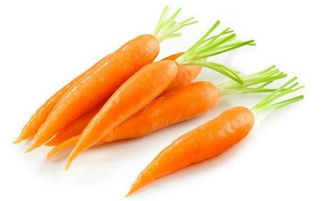 胡萝卜的卜组词 胡萝卜的卜组词