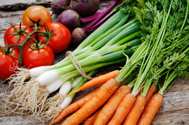 胡萝卜的卜组词 胡萝卜的卜组词