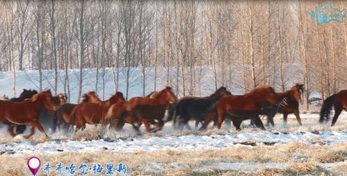 跤搂怎么组词 跤搂怎么组词