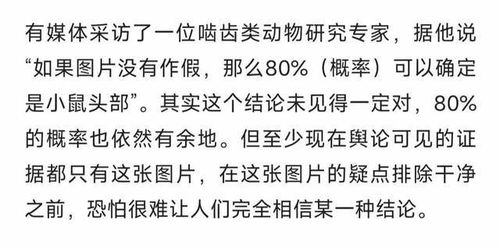 小坑坑怎么组词