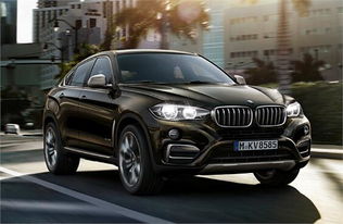 宝马的宝怎么组词