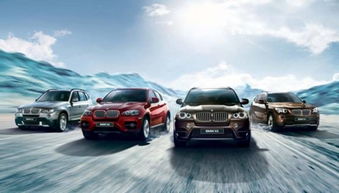 宝马的宝怎么组词