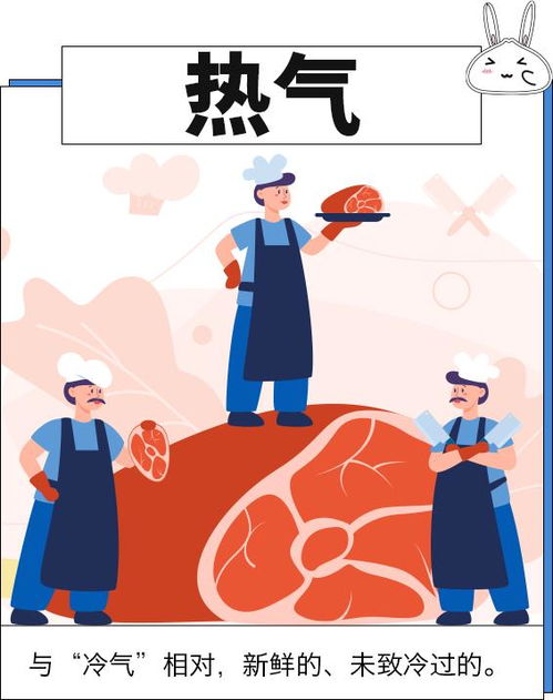 运载的晕怎怎么组词