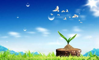 草地可以怎么组词