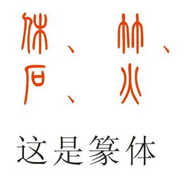 石字怎么组词小度