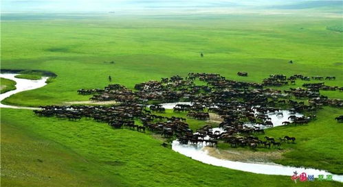 辽阔的辽怎么组词