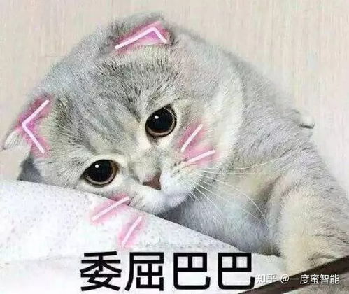 多么的猫可以怎么组词 多么的猫可以怎么组词