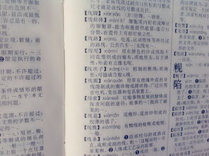 村民的村民怎么组词