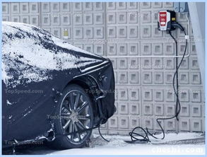 飞驰而过的驰怎么组词