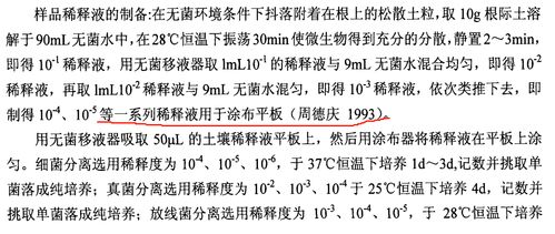 树根的根根怎么组词 树根的根根怎么组词