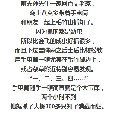 树根的根根怎么组词 树根的根根怎么组词