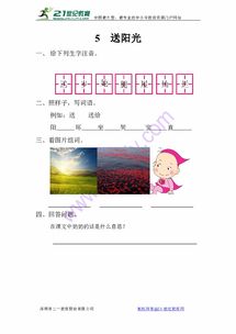 什么的阳光组词