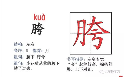 计怎么组词部首