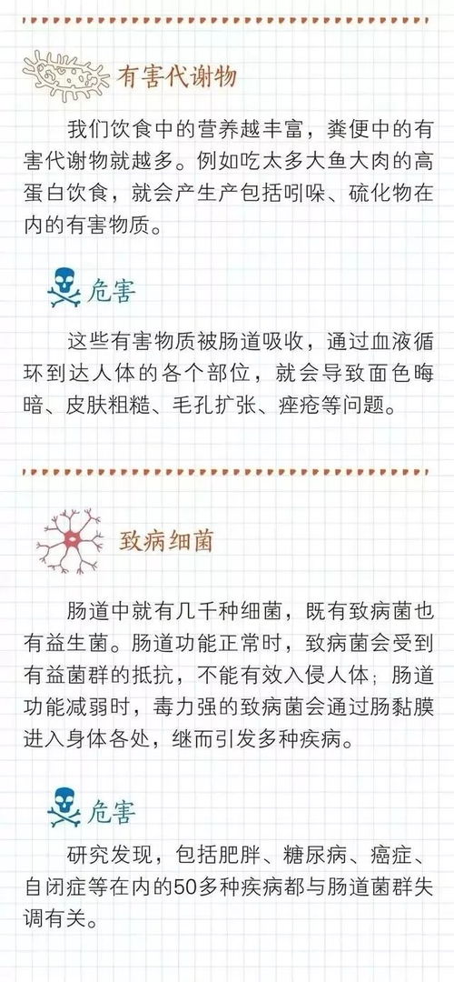 肠子肚子的肠怎么组词