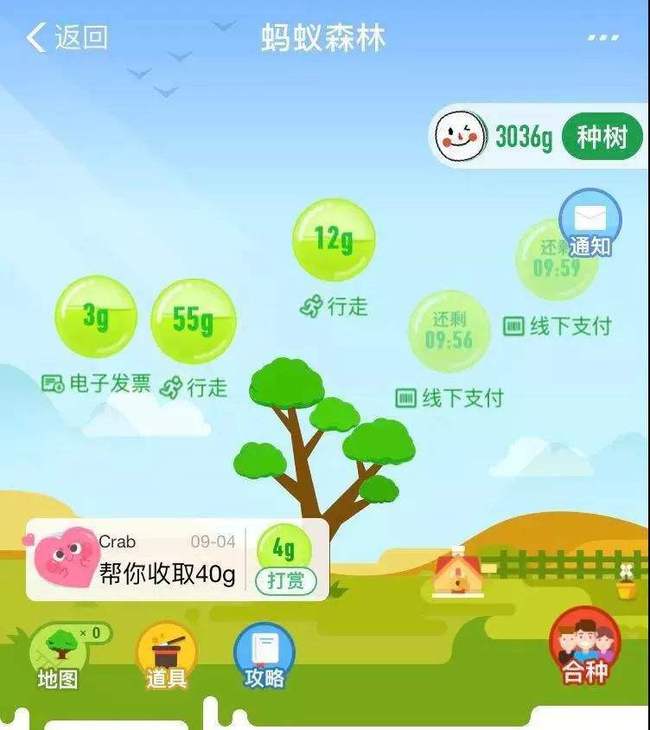 种树的种怎么怎么组词
