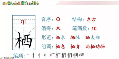 取消意思的组词怎么写 取消意思的组词怎么写