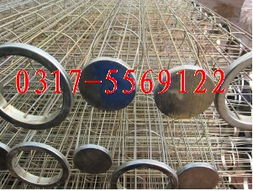 龙笼子的笼龙怎么组词