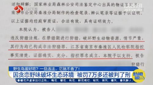鸟蛋的掏怎么组词