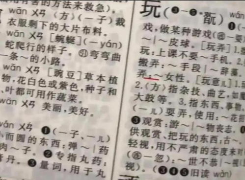 住字怎么组词是什么