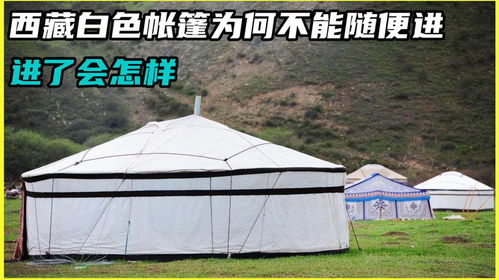 帐篷的篷怎么组词