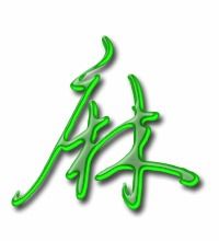 发麻怎么组词 发麻怎么组词