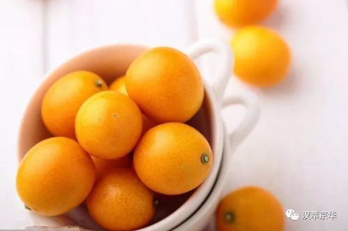 小金桔怎么组词