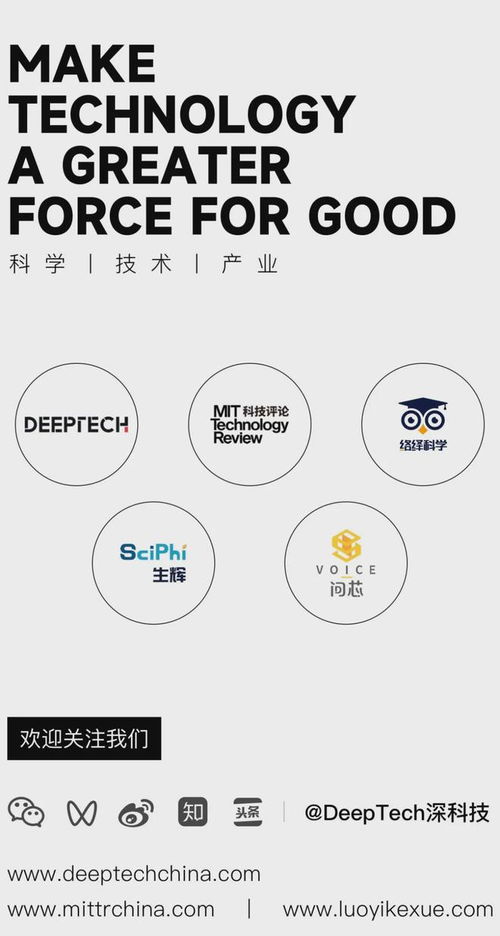 奶酪可以怎么组词呢 奶酪可以怎么组词呢