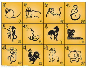 十二生肖的怎么组词