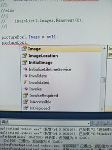 录入的东西组词怎么写
