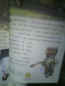 神圣的圣字可以怎么组词