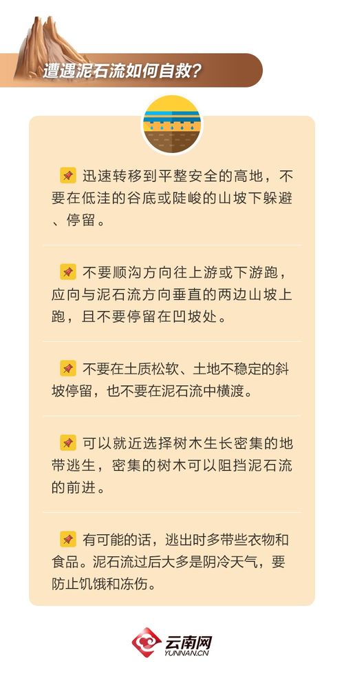 杉杉来了山怎么组词