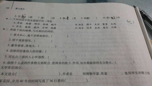 清字怎么组词是什么词