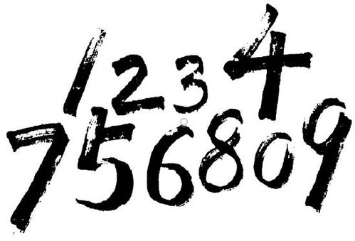 数怎么组词多音字组词