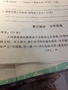 飘怎么组词飘扬的飘