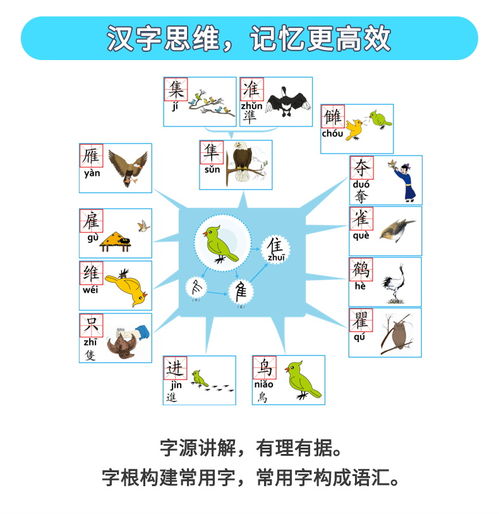 小布首先得先怎么组词