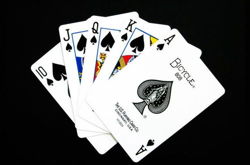 扑克都可以怎么组词