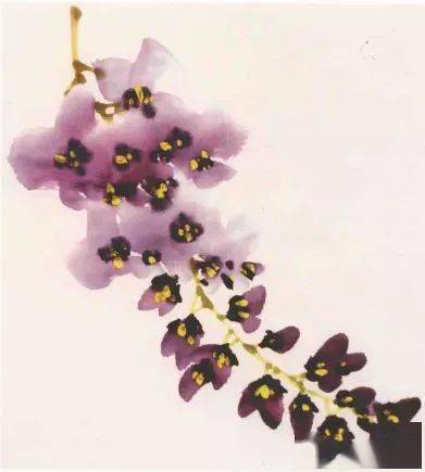 一枝花的枝组词