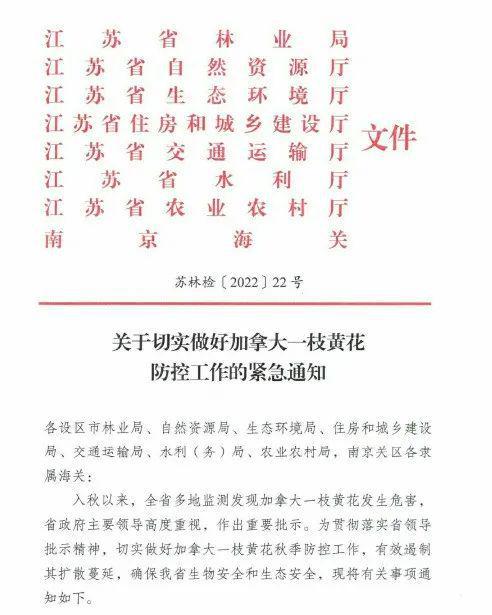 一枝花的枝组词