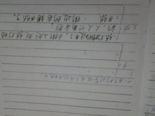 扁子怎么组词造句