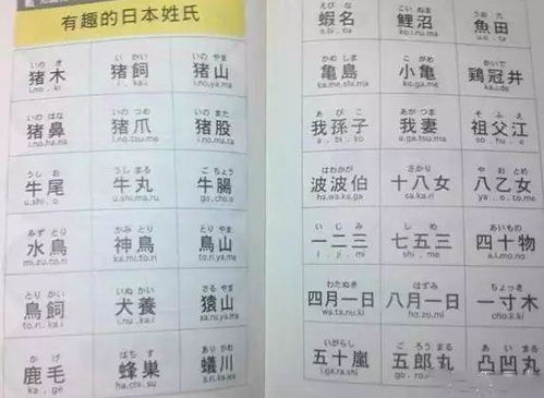 猪丰收的收怎么组词