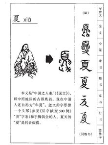 下面的夏怎么组词