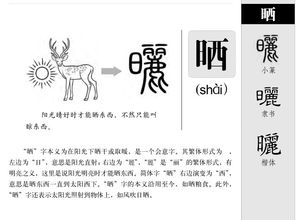 晒怎么读组词 晒怎么读组词