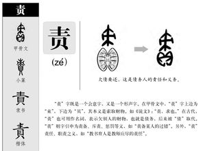 责怎么读组词 责怎么读组词