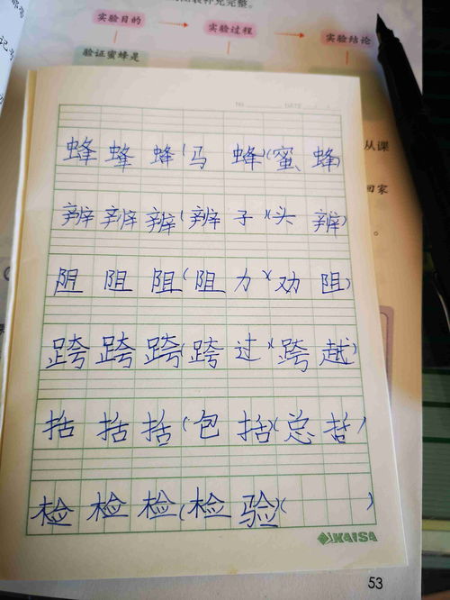 检测的怎么组词